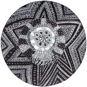 Black and white sea urchin drawing by Julian Godfery