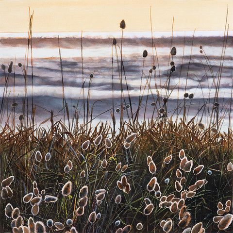 NZ sunrise beach art prints