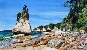 Cathedral cove painting art print by Jane Galloway