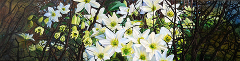 Flowers art prints NZ
