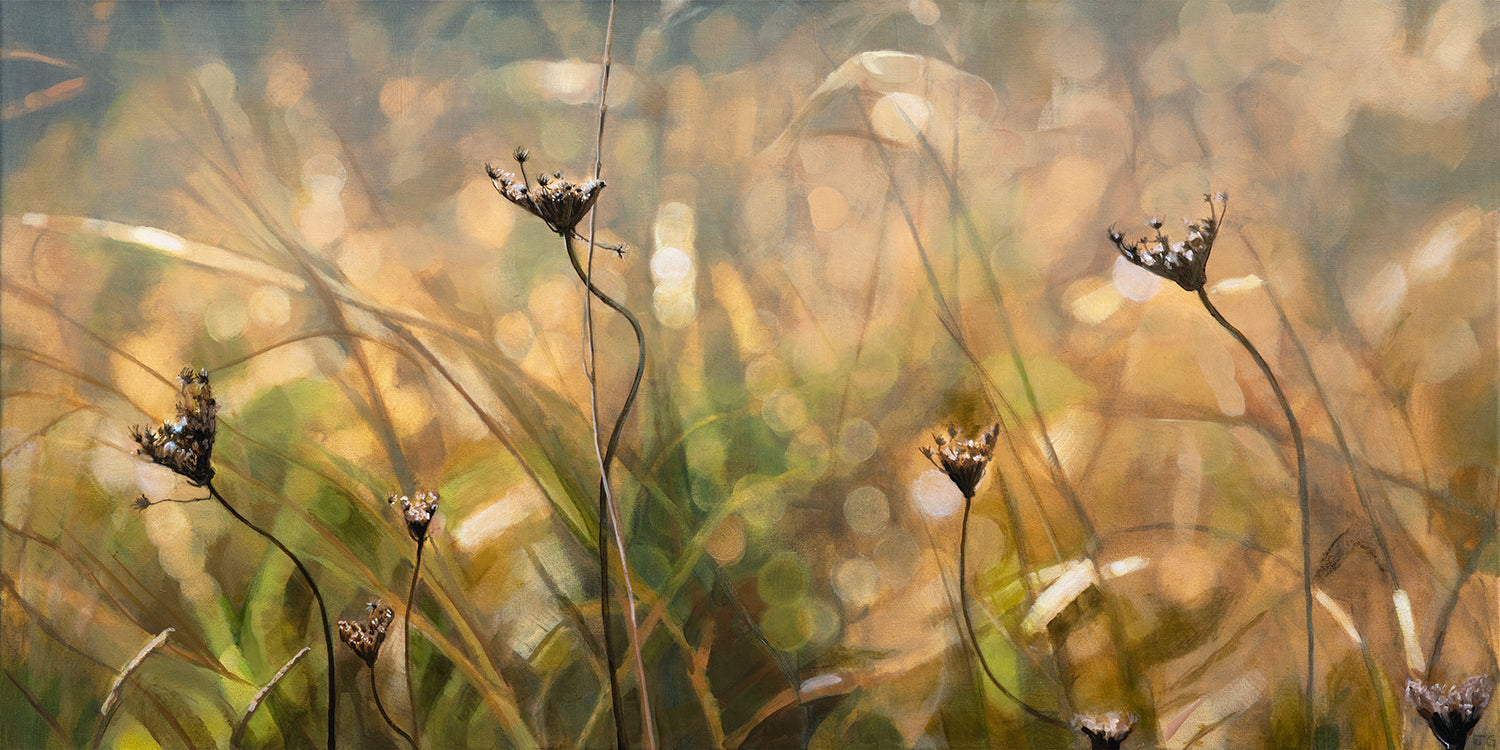 Sunlit Grasses