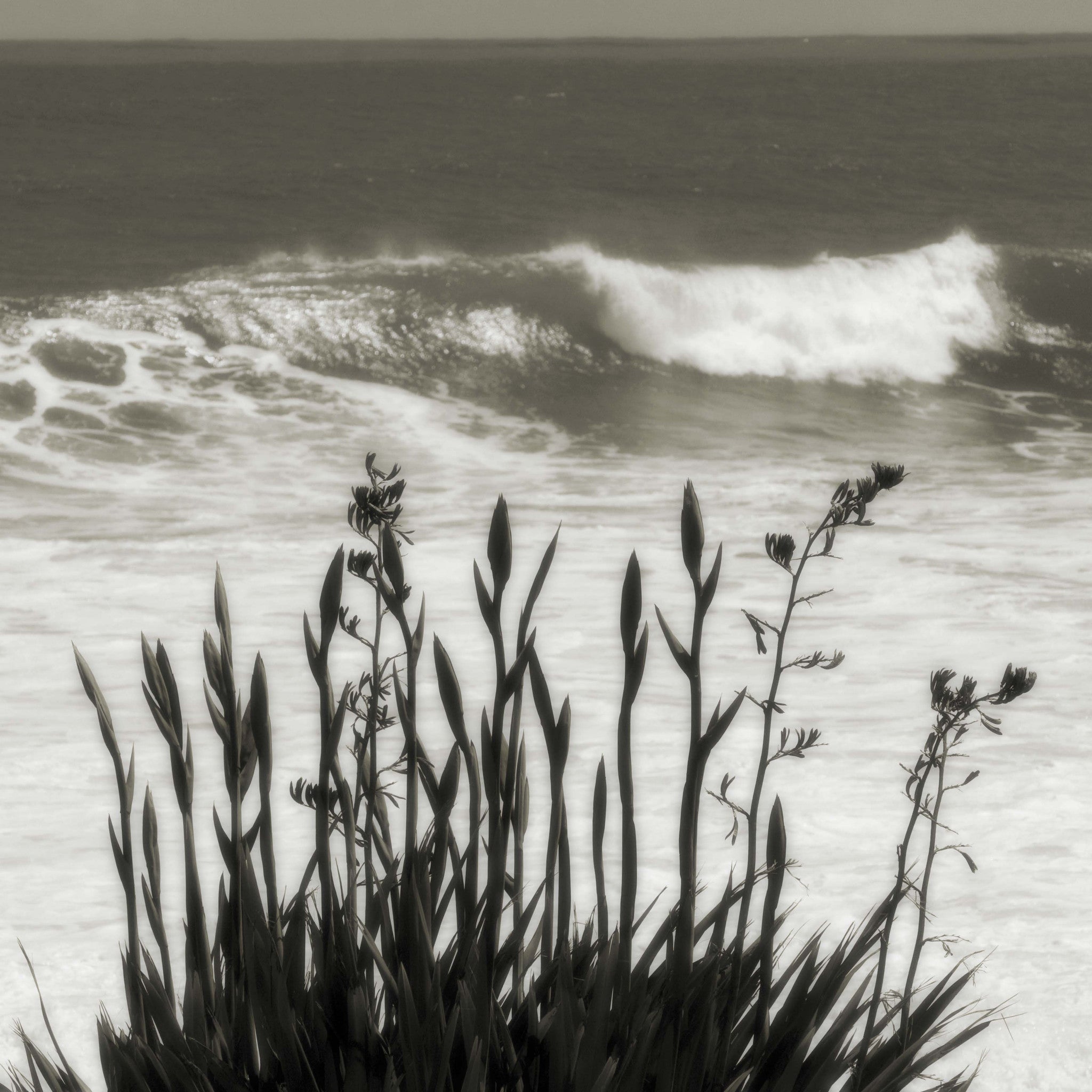 Flax and Wave