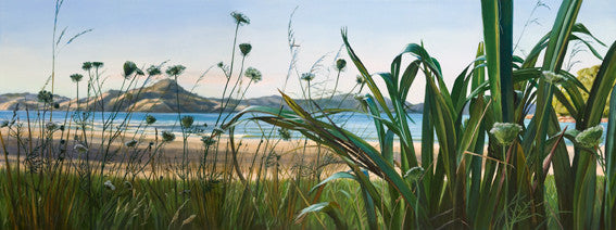 Flax and Wild Carrot, Cooks Beach
