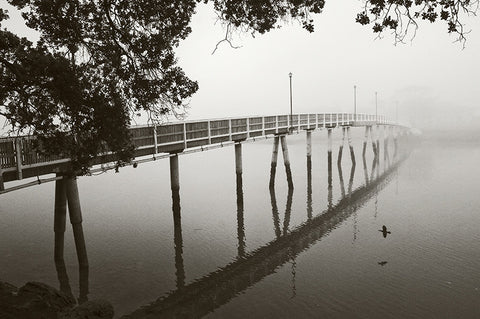 Old Raglan Bridge in Mist