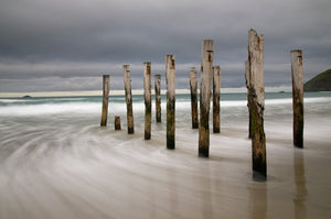 Old Wooden Piles, St Clair Beach, Dunedin