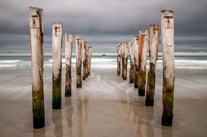 Old Wooden Piles II, St Clair Beach, Dunedin