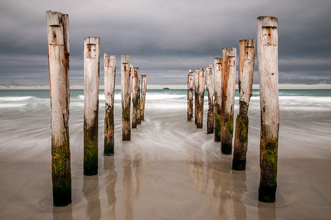 Old Wooden Piles II, St Clair Beach, Dunedin